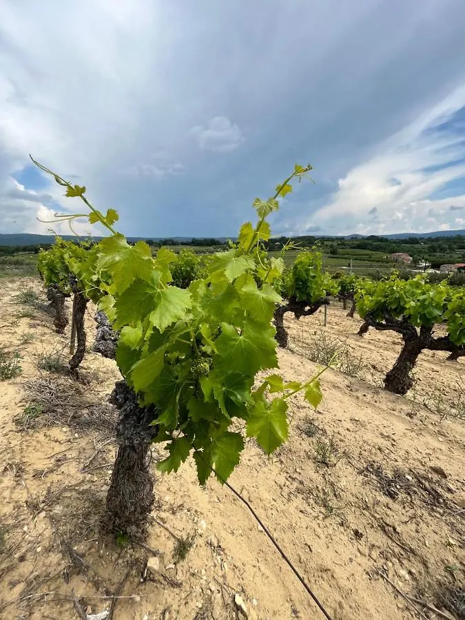 Mont Ventoux-Chateau Gipieres App Nr 9 몽트브륀-레-뱅 0*,